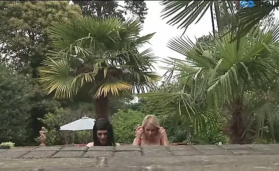 Wild Outdoor Encounters Horny Sluts and Kinky Orgies