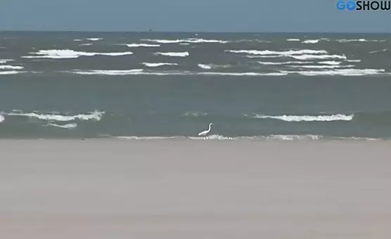Threesome Beach Encounter